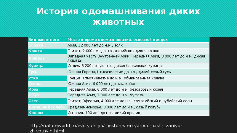Основные этапы технологии одомашнивания диких животных. Одомашнивание или доместикация это. Время одомашнивания карпа. Основные центры доместикации. Одомашнивание животных.