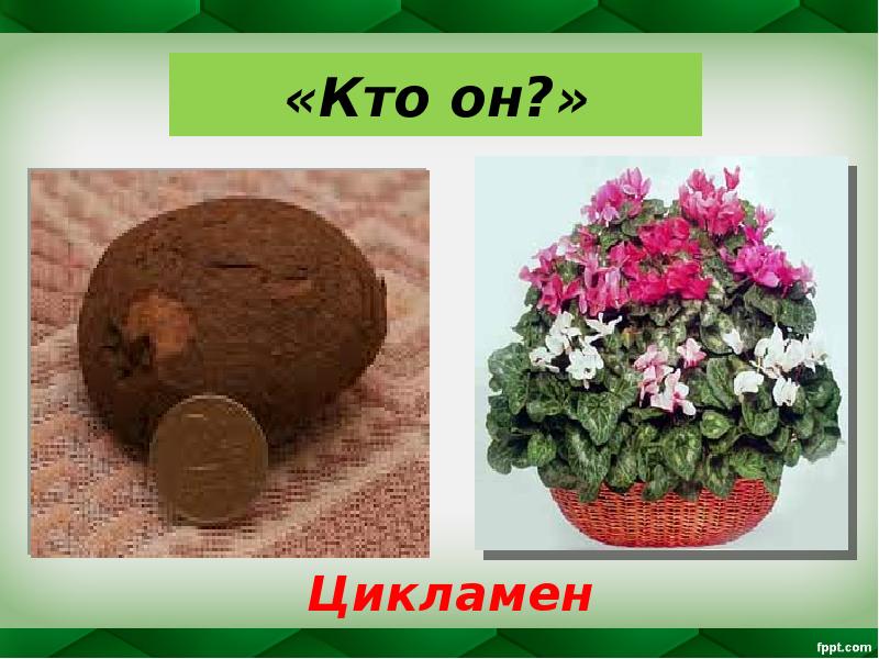 «Кто он?»