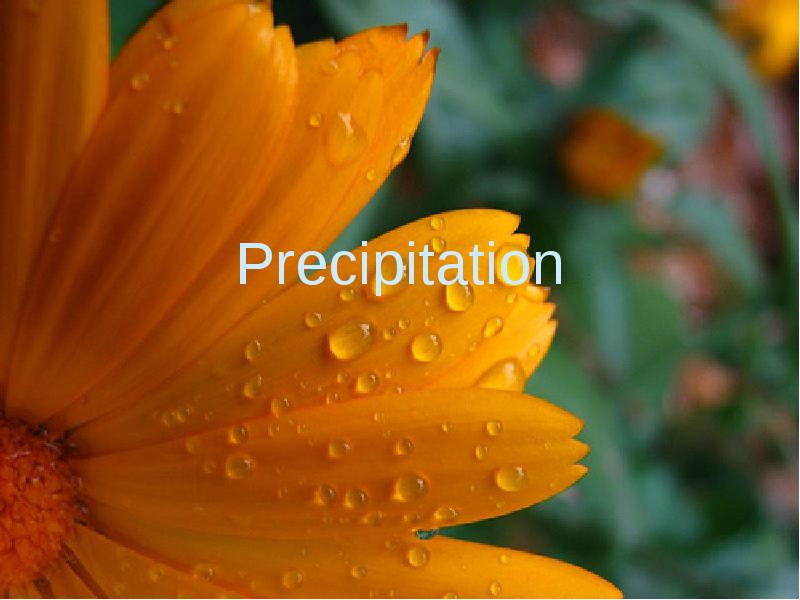 Precipitation Precipitation