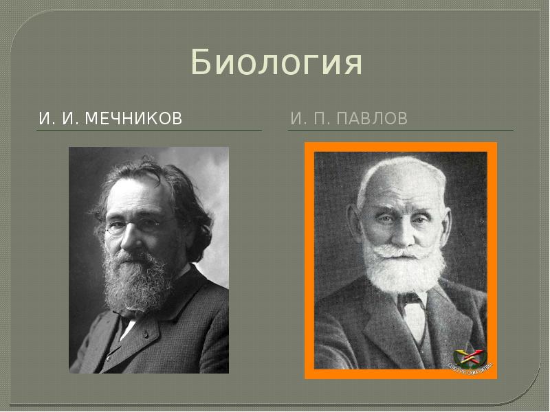 Пирогов сеченов павлов мечников