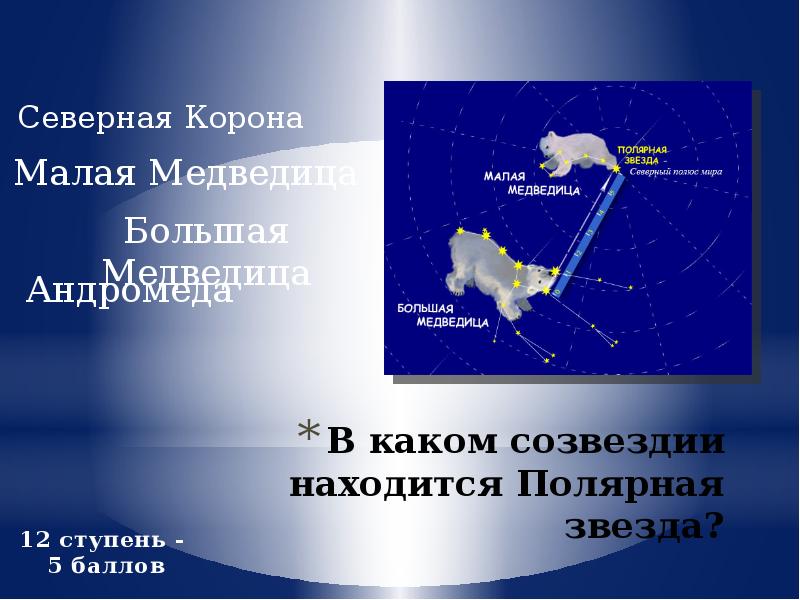 Созвездие малая медведица и полярная звезда. Созвездии расположена полярная звезда. Определение сторон света по созвездию орион. Созвездии расположена полярная звезда. Созвездие малая медведица и полярная звезда.