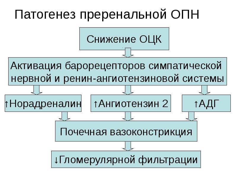 Острая почечная недостаточность у детей презентация