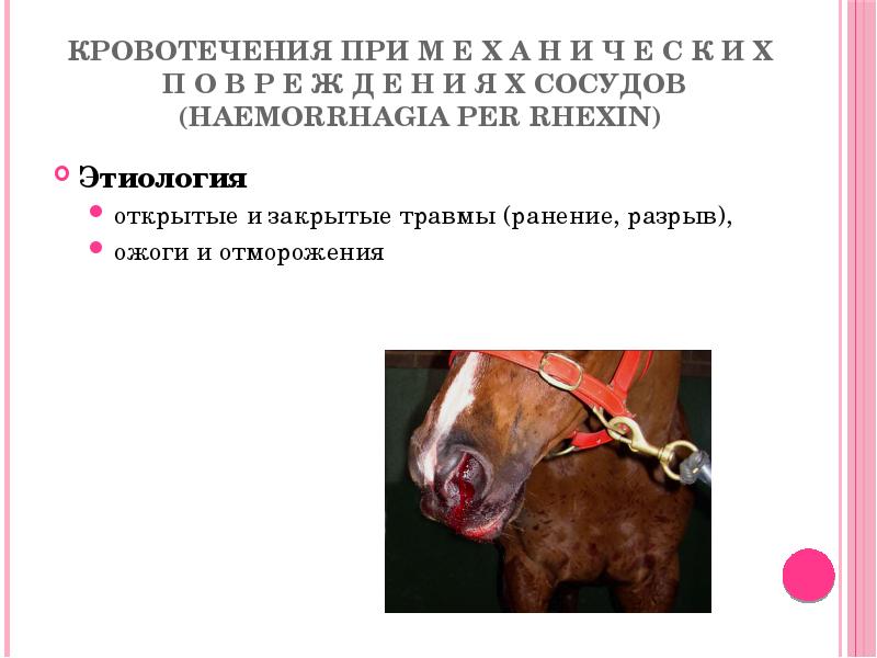 Кровотечения при м е х а н и ч е с Кровотечения при м е х а н и ч е с