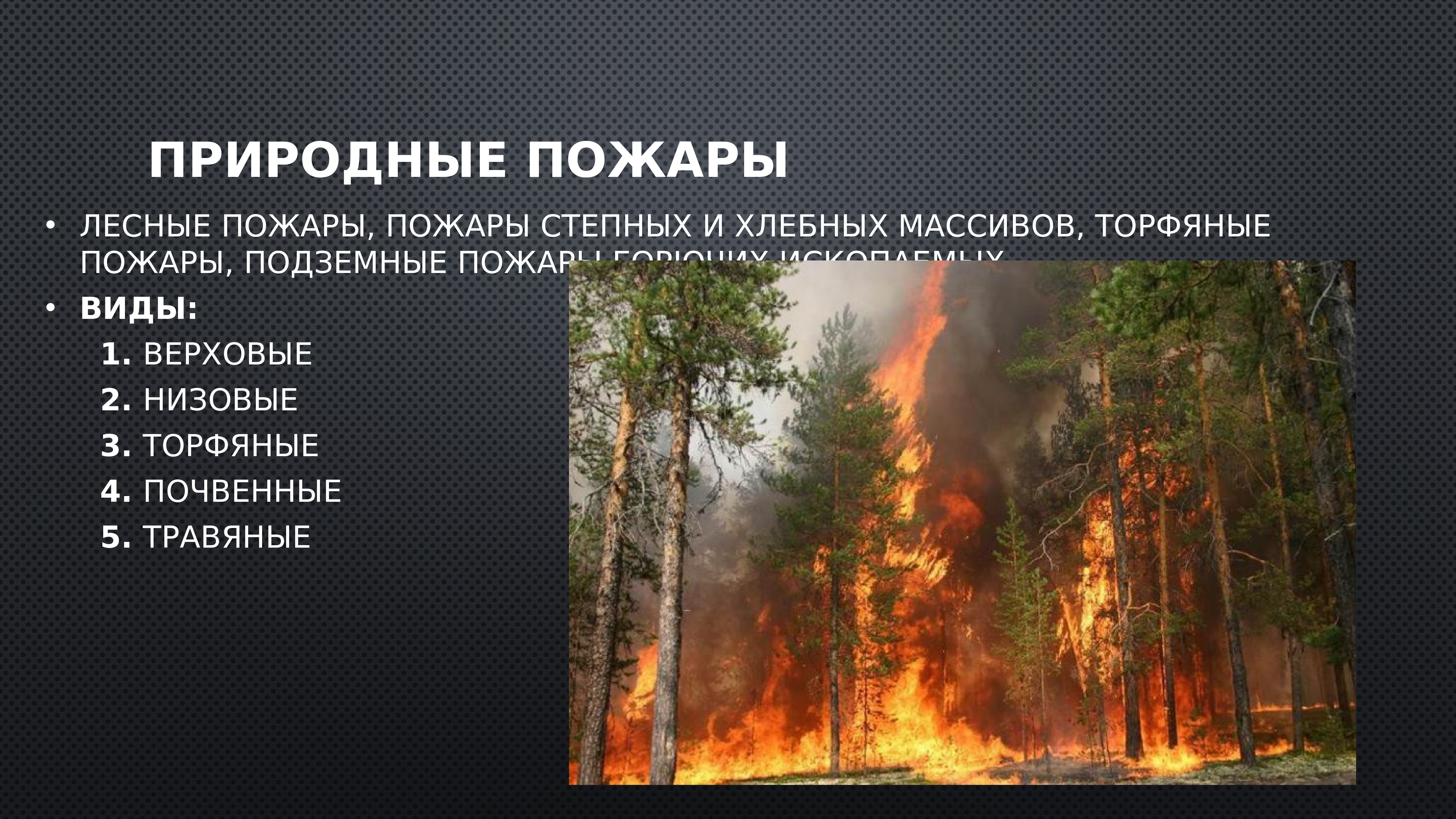 Какие существуют пожары. ЧС природного характера Лесные пожары. Природные пожары ЧС примеры. ЧС природного характера Лесные и торфяные пожары. Лесные и степные пожары.