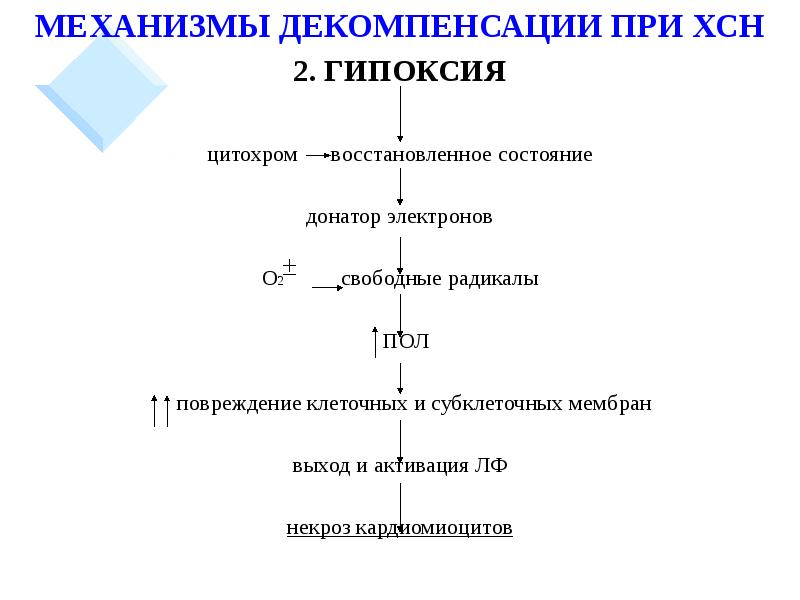 Хсн декомпенсация карта