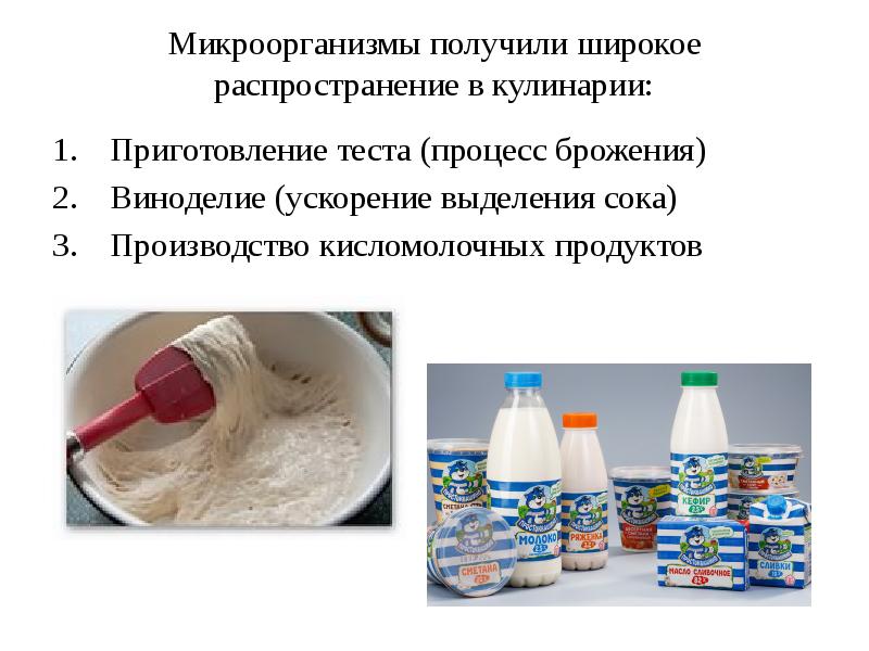 Какие кисломолочные продукты выпускает пищевая промышленность