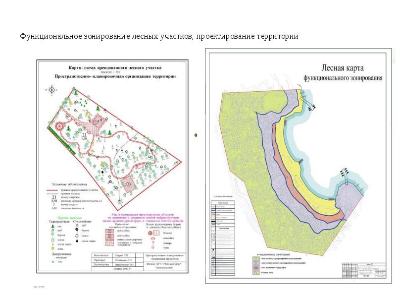 Функциональное зонирование лесного участка