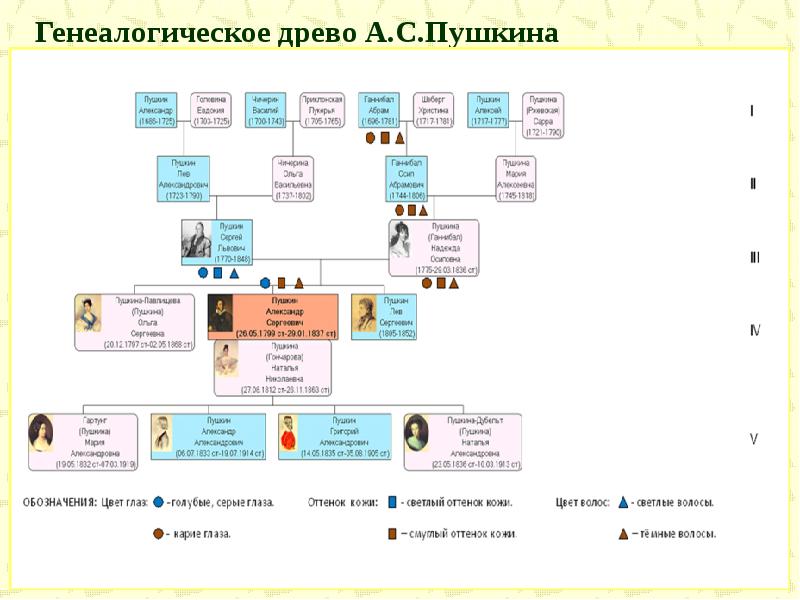 Генеалогическое древо пушкина схема