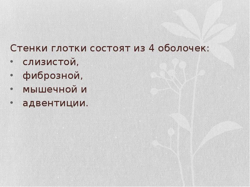 Стенки глотки состоят из 4 оболочек:  слизистой,  фиброзной, 
