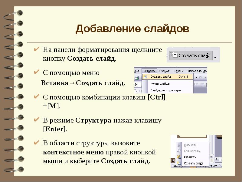 Основы работы в powerpoint презентация