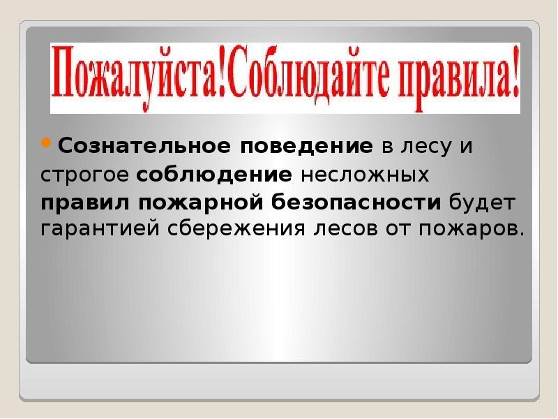 Презентация пожарная безопасность в летний период