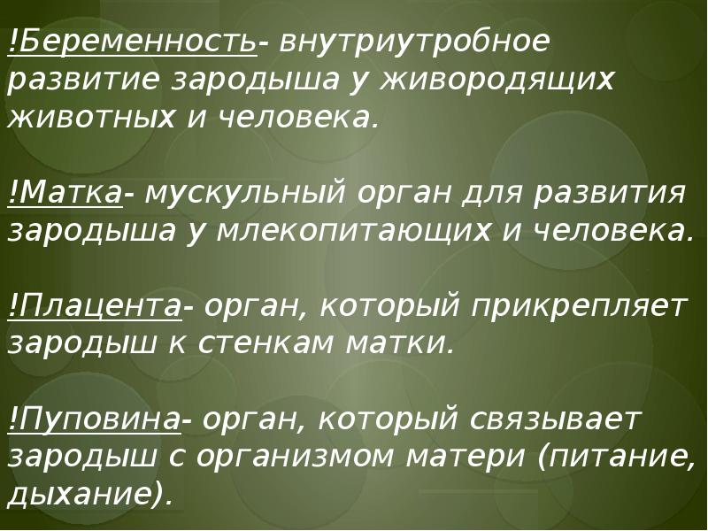 Размножение и развитие млекопитающих 8 класс презентация. Размножение и развитие млекопитающих. Размножение млекопитающих.