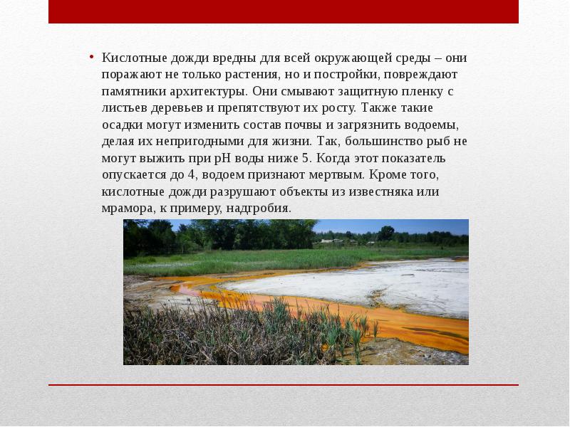 Может ли дождь быть вредным