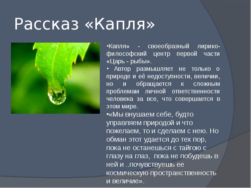 Чем меньше капля тем. Рассказ о капле. Рассказ о капли воды. Рассказ о капельке. Рассказ про каплю.