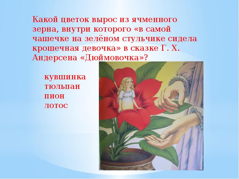 песня о цветах текст. цветы растут. воздействие музыки на растения. физминутка первоцветы. каким был цветок, из которого родилась дюймовочка?.