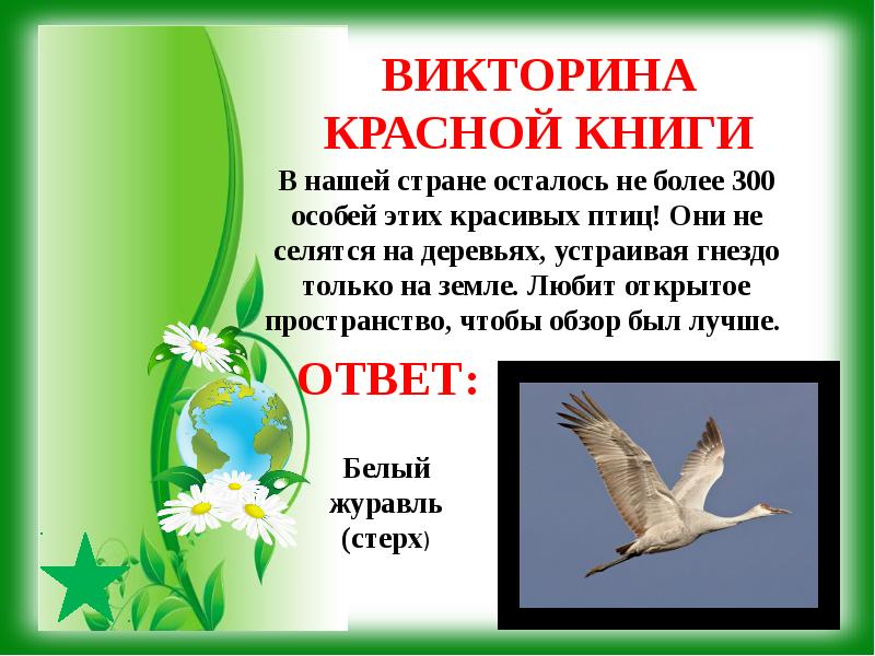 Экологическая викторина для начальных классов с ответами с презентацией