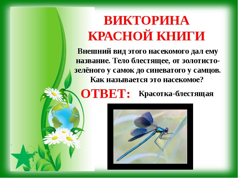 Викторина красная книга презентация