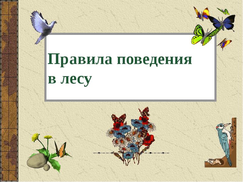 Правила поведения в природе презентация