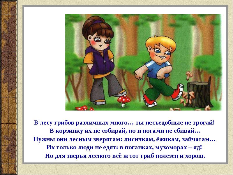 Побольше правило. Сообщение на тему правила поведения в лесу. Правила поведения в лесу грибы. Доклад поведение в лесу. Презентация соблюдение правил поведения в лесу.