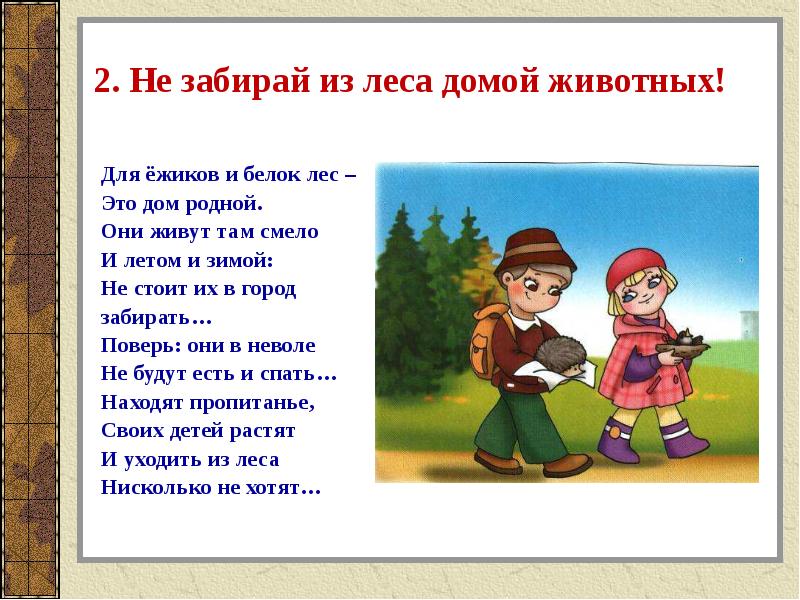 Из лесу взяли мы домой. Не забирайте животных домой. Правила поведения в лесу не забирай из леса домой животных. Не забирайте животных из леса. Не забирай домой лесных животных.