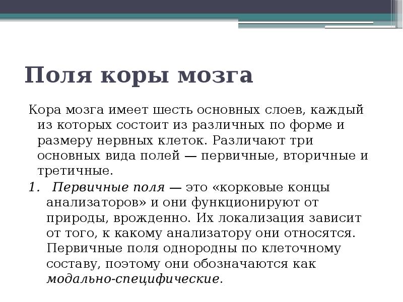 Первичное поле коры. Первичные поля функции. Вторичные поля. 3 Первичное поле коры.