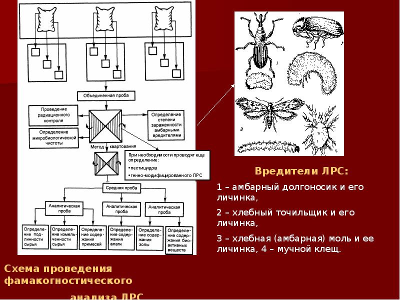 Схема приемки цельного лекарственного растительного сырья