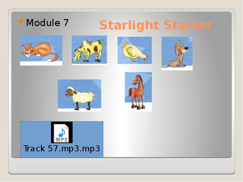 Starlight starter. Старлайт стартер. Starlight Starter animals. Starlight Starter Flashcards. Starlight Starter презентация.