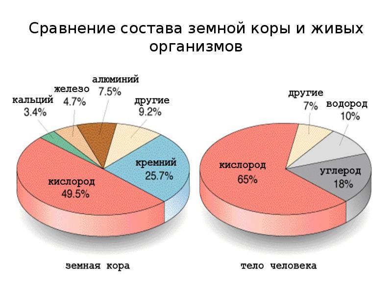 Химический состав живого