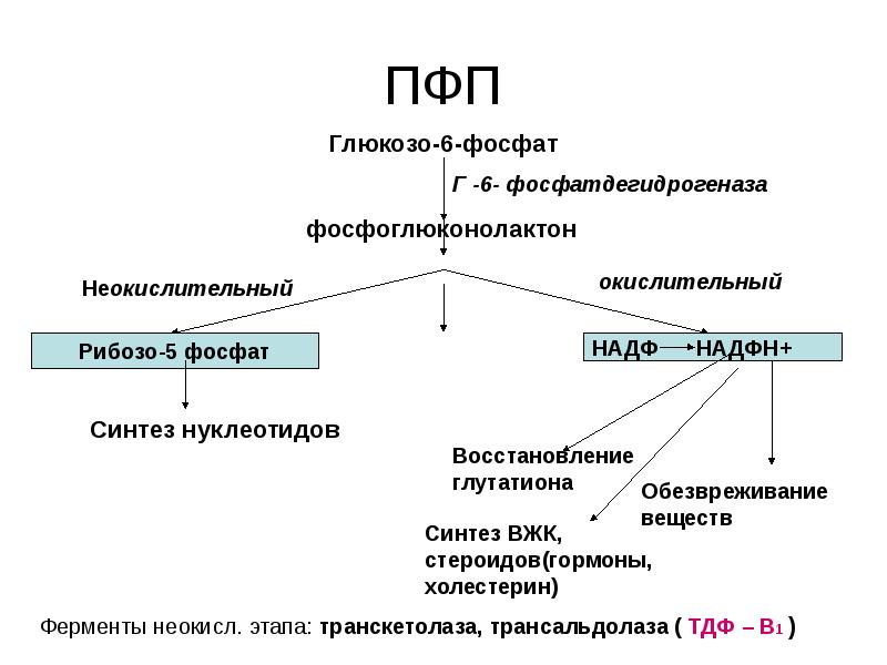 Пфп с схема