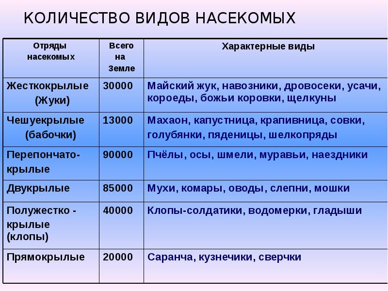 Таблица отряд представитель биология 8 класс. Отряды насекомых таблица 7 класс по биологии. Кол во видов насекомых. Характеристика основных отрядов насекомых. Таблица важнейших отрядов насекомых.