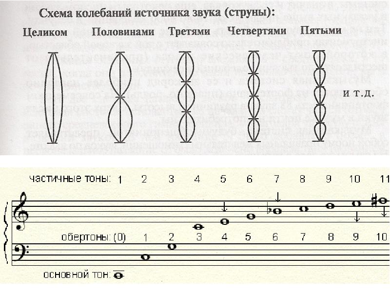 Форма звука. Тон и Обертон. Обертона на струне. Колебания струны издающей звук основного тона и двух обертонов. Схема колебания струны.