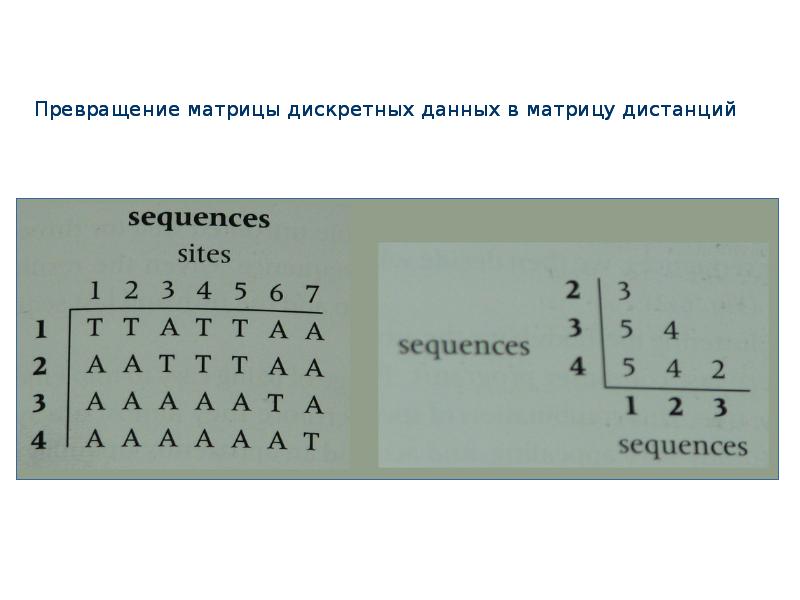 Дискретное данное. Матрица данных. Матрица дискретка. Матрица дистанций. Виды матрицы в дискретной.