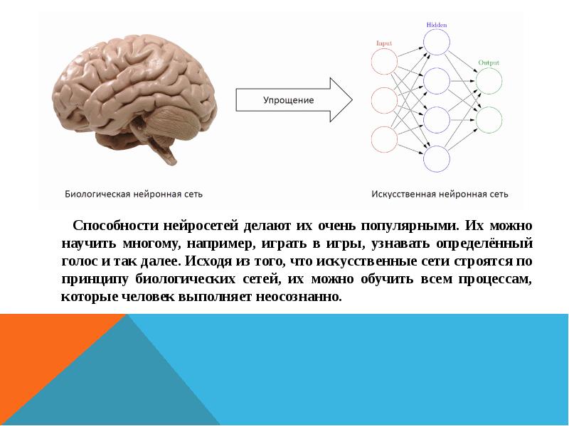 Нейронные сети презентация