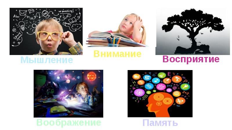 Память воображение. Память и воображение.