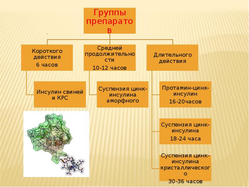 История открытия инсулина презентация