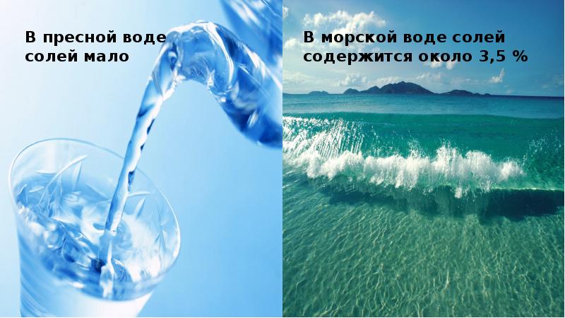 Хороша вода соленая. Соленая вода. Пресная вода и морская вода. Соль и вода. Химический процесс соль в воде.