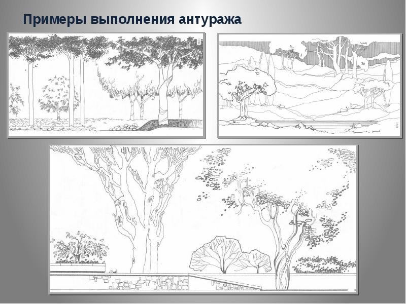 Антураж адрес. Антураж и стаффаж композиция. Антураж архитектурная Графика. Архитектурный антураж деревья. Архитектурная Графика деревья.