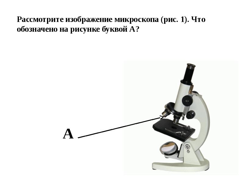 Ольга на уроке изучал устройство микроскопа и делал соответствующие подписи к рисунку впр цифрового