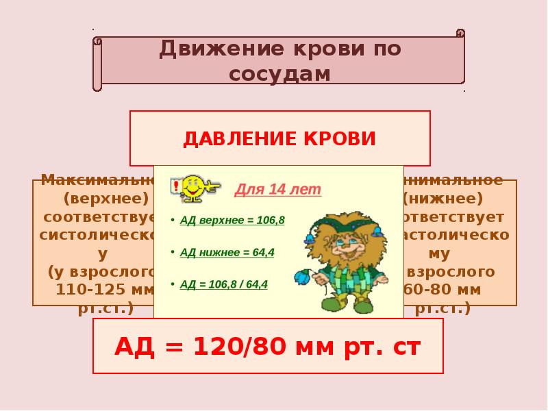 Движение крови по сосудам 8 класс презентация