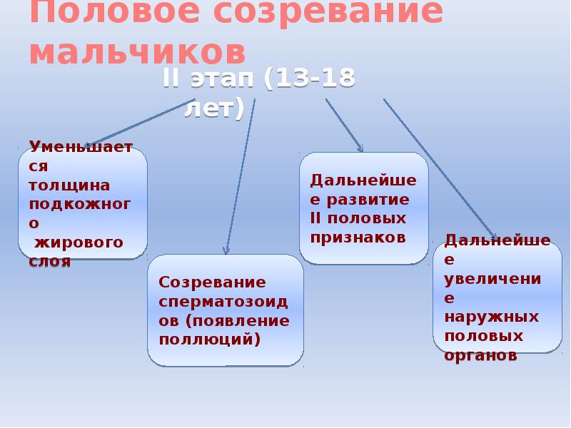 Созревание мальчиков. Этапы полового развития мальчика. Этапы полового созревания девочек. Половое созревание у мальчиков. Этапы полового созревания мальчиков.