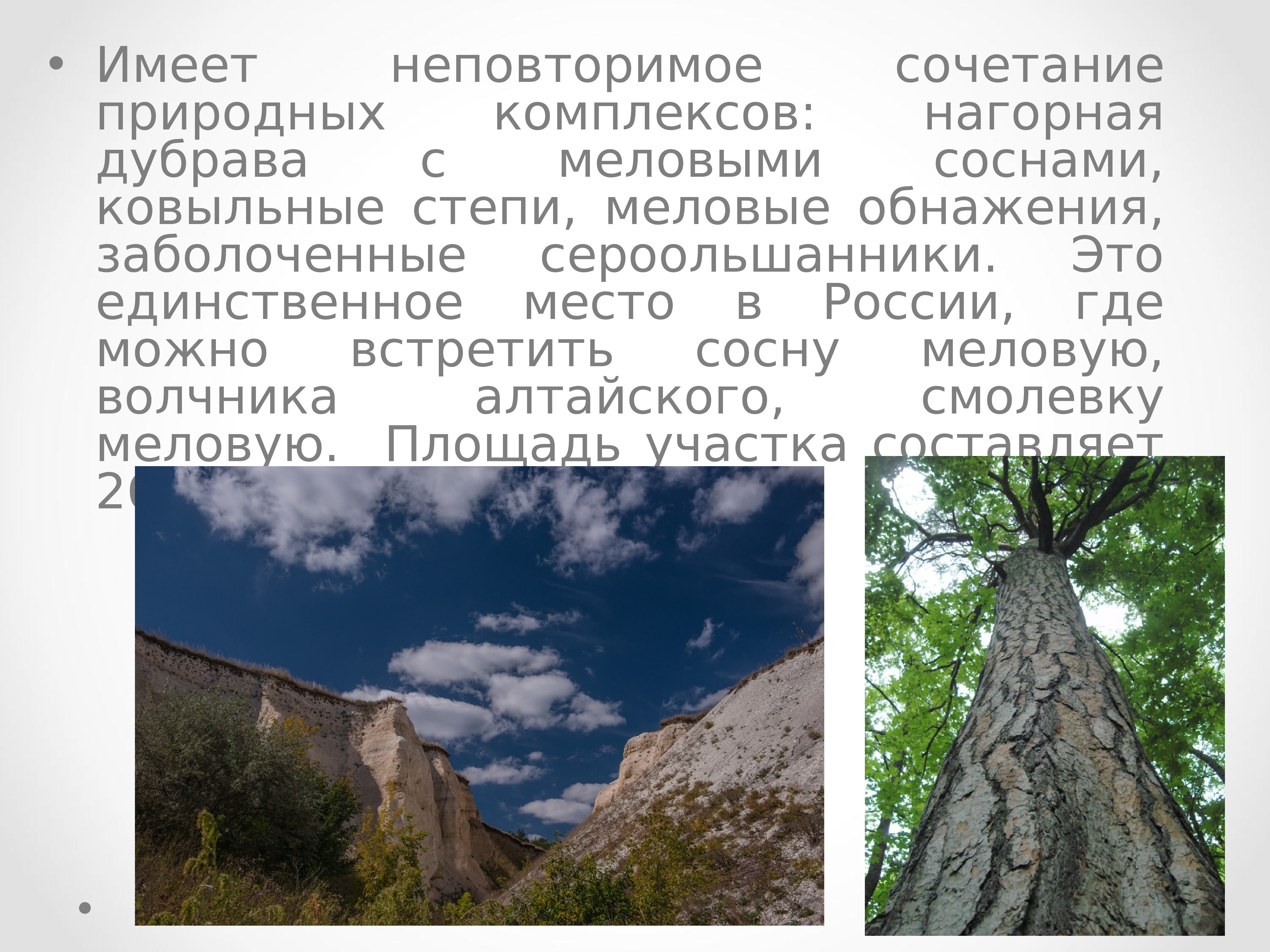 Область имеет. Природные комплексы Белгородской области. Природно-территориальные комплексы Белгородской области. Крупные природные комплексы Белгородской области. Природные комплексы Белгородской области география 6 класс.