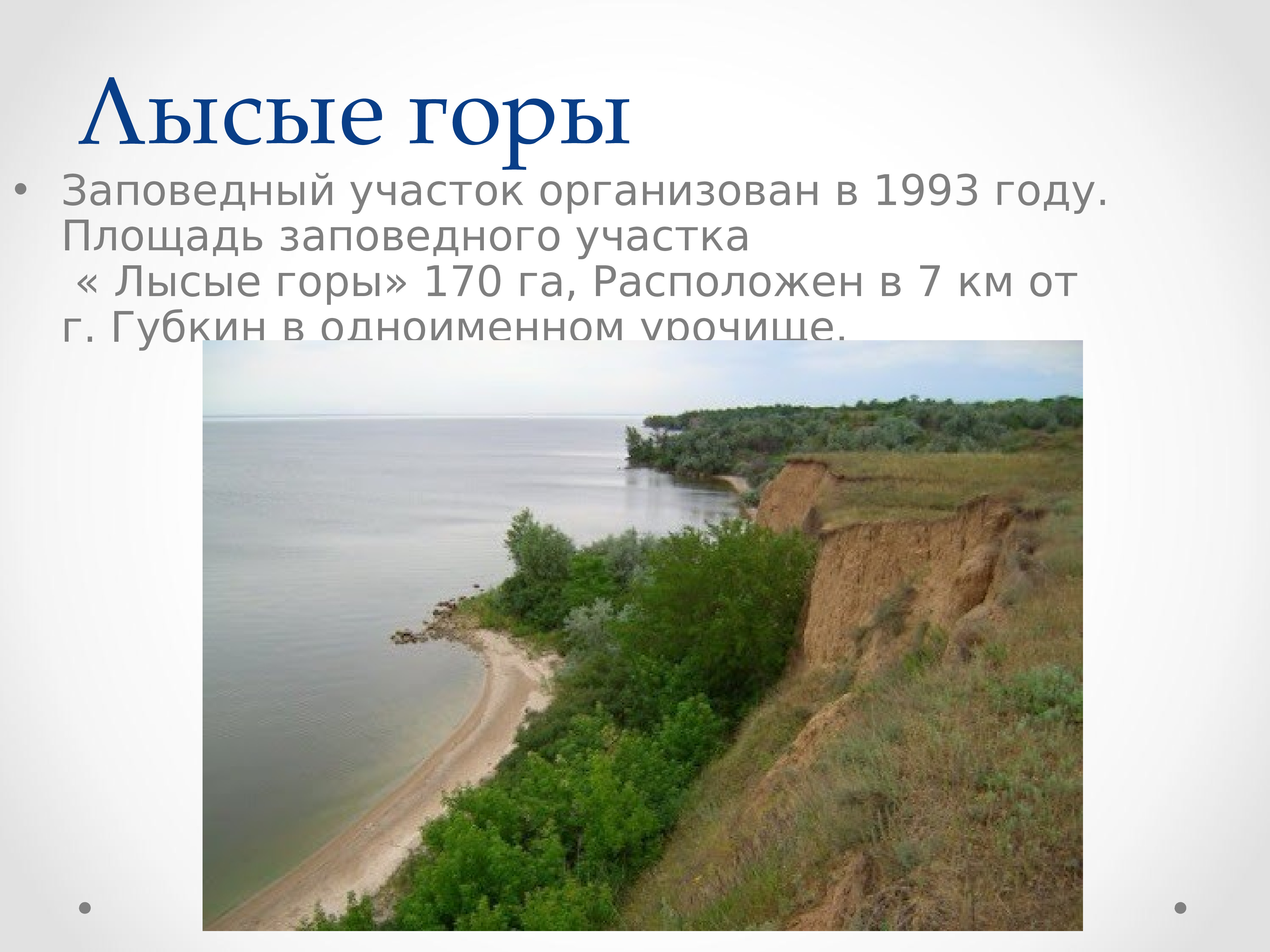 заповедник лысые горы