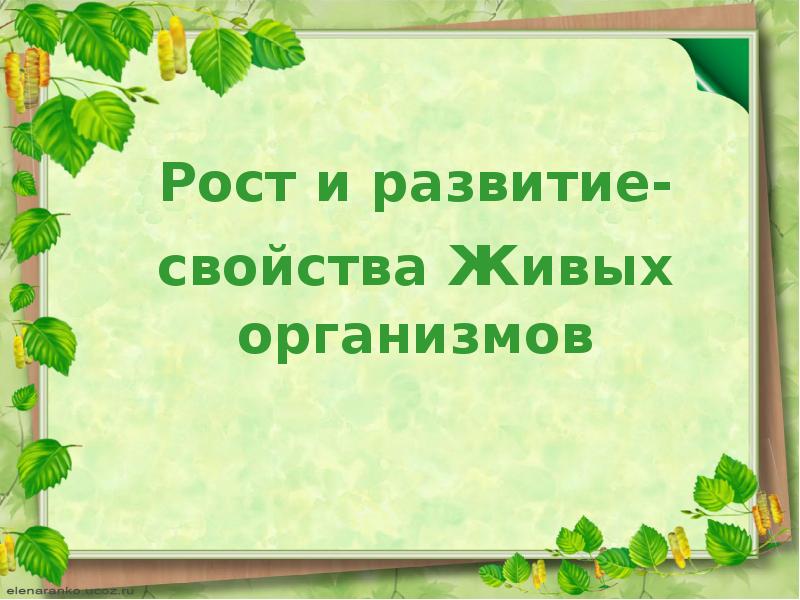 Рост и развитие свойства живых организмов презентация 6 класс пасечник