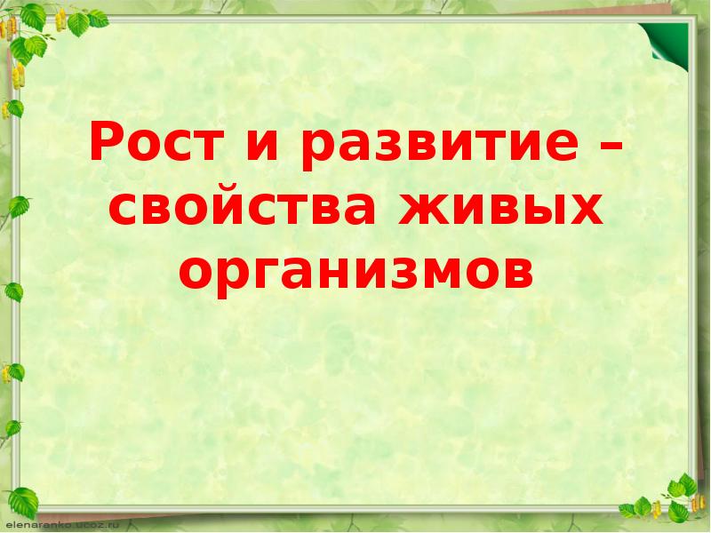 Урок рост и развитие животных 8 класс. Рост и развитие свойства живых организмов. Рост и развитие свойства живых организмов 6 класс. Рост свойство живых организмов. Рост и развитие свойства живых организмов конспект.