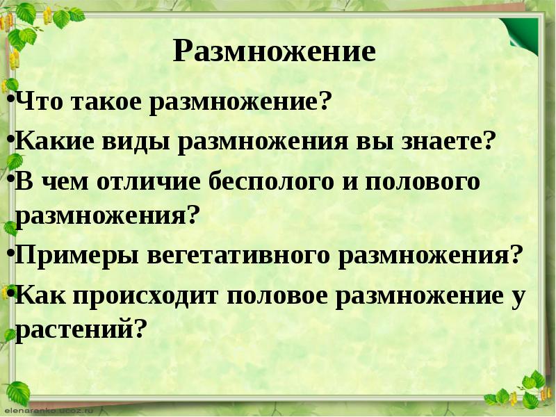 Урок роста. Размножение. Какие типы размножения. Какие виды бесплатного размножения вы знаете. Рост и размножение.