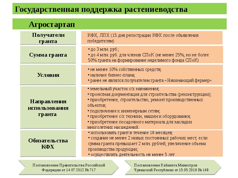 Бизнес план на получение гранта