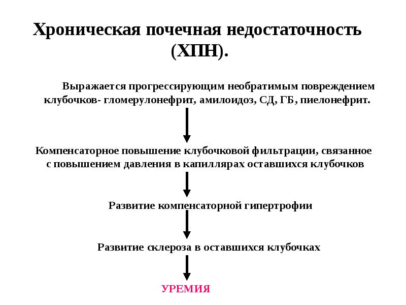 Схема патогенеза хронического патогенеза