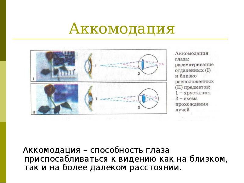 Схема преломления лучей хрусталиком глаза при рассматривании близко и далеко