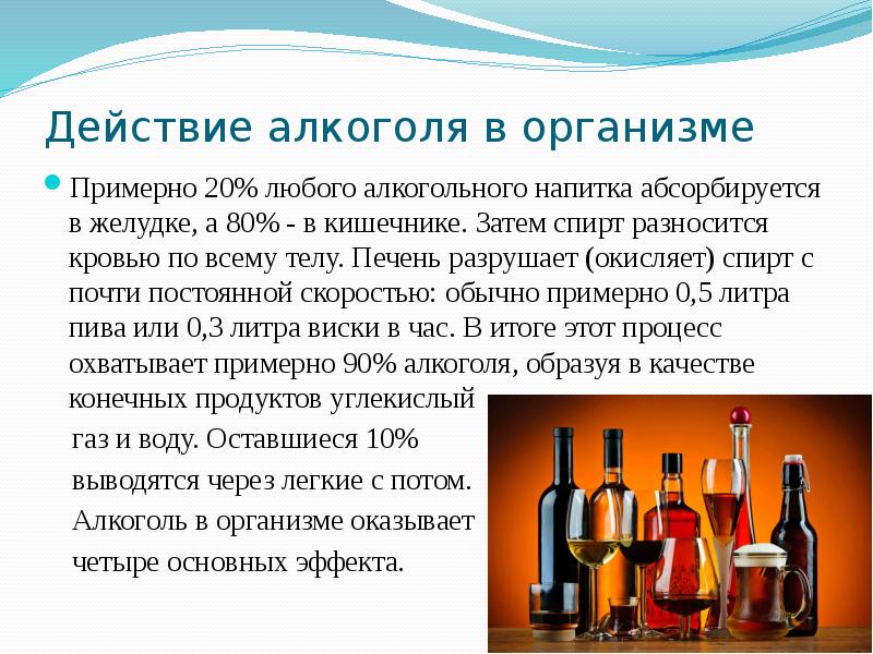 Реферат: Влияние алкоголя на организм подростка. Лечение алкоголизма