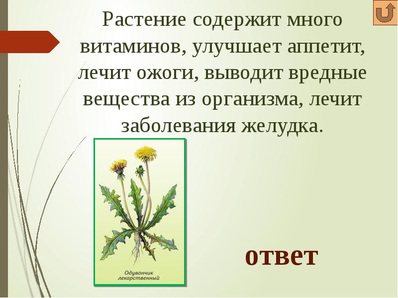 Цветки содержащие. Темы интерактивных игр лекарственные растения. Интерактивная игра крестики нолики на тему лекарственные растения. Растения содержащие вредные вещества. Трава состоит это.